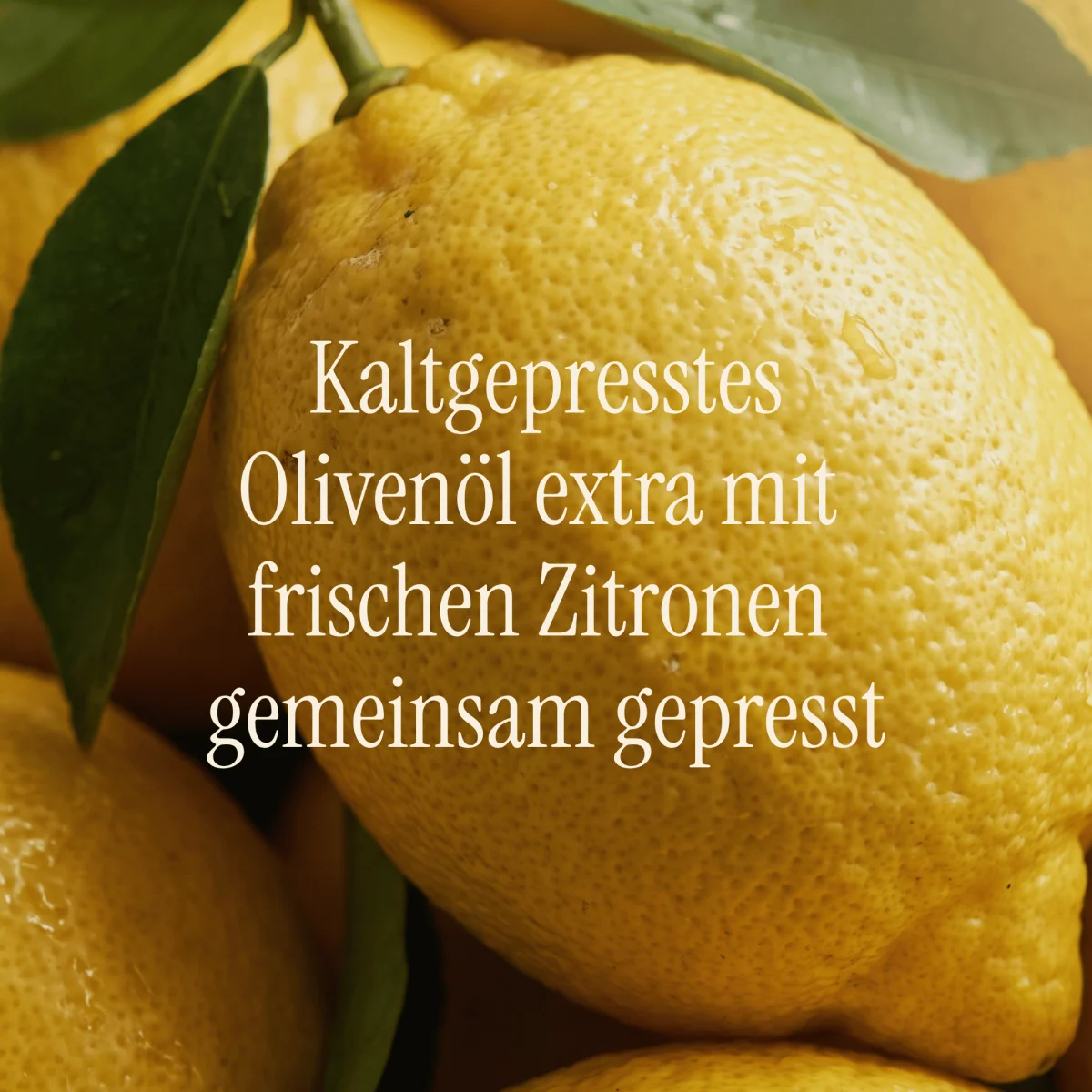 Vola Zitronenöl Zitrusfrüchte Flasche 150ml